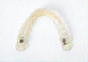 - Gulf Cove Dental