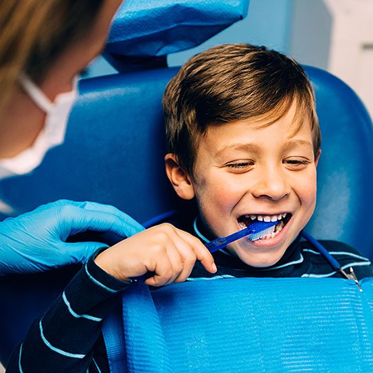 Dentist In Port Charlotte