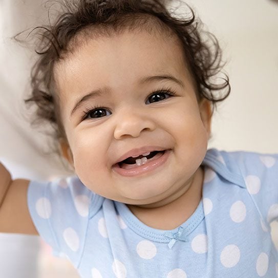 Dentist In Port Charlotte