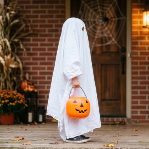 Dentist In Port Charlotte